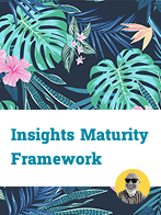 Insights Maturity Framework